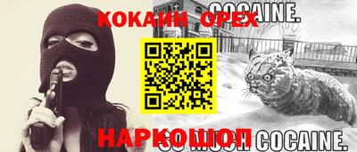 соль ск Можга