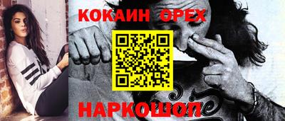 соль ск Можга