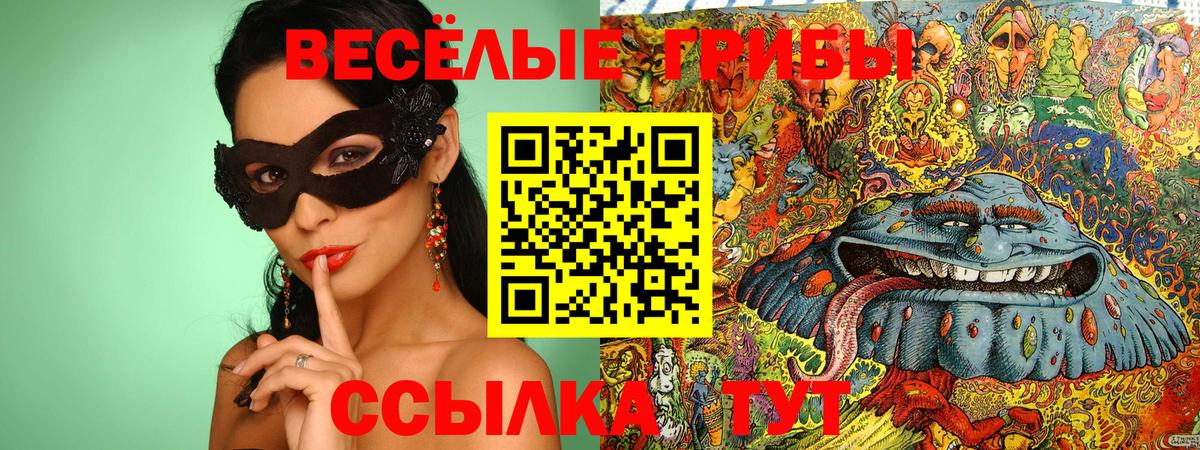 Галлюциногенные грибы Psilocybine cubensis Чистополь
