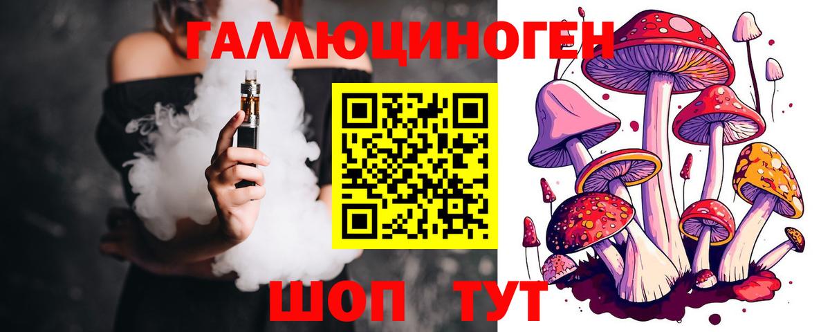 Чистополь  Псилоцибиновые грибы Psilocybine cubensis  Вход с VPN  Галлюциногенные грибы Psilocybine cubensis 