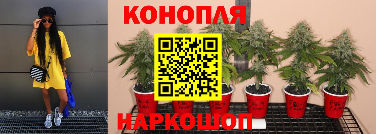 Гашиш Чистополь